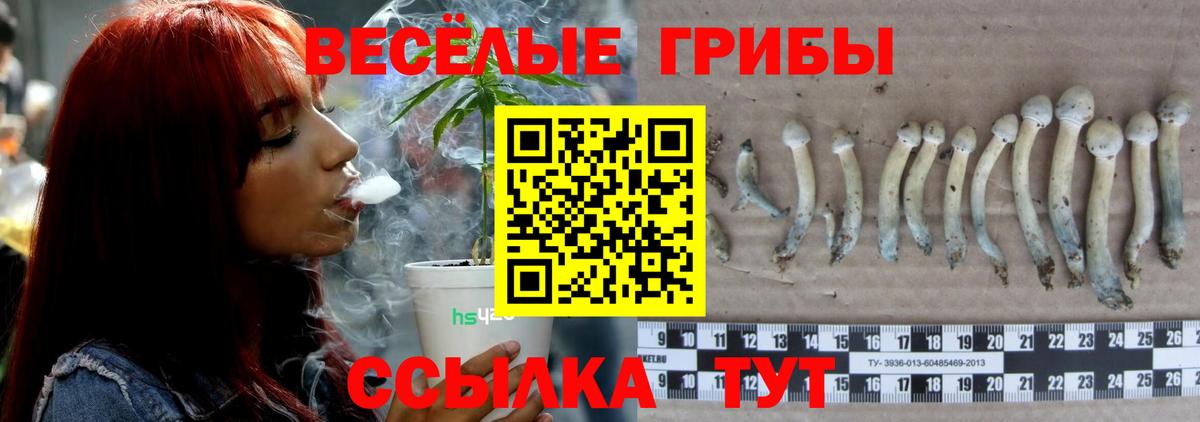 Протвино  Галлюциногенные грибы Magic Shrooms  Вход с VPN 